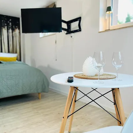 Stay Zentrale Schwarzwald Apartments Nagold Extérieur photo