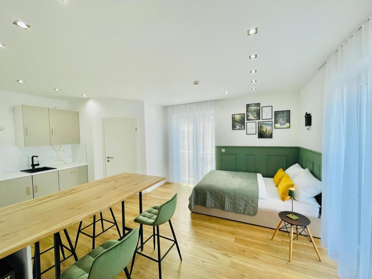 Apartment Zentrale Schwarzwald Nagold